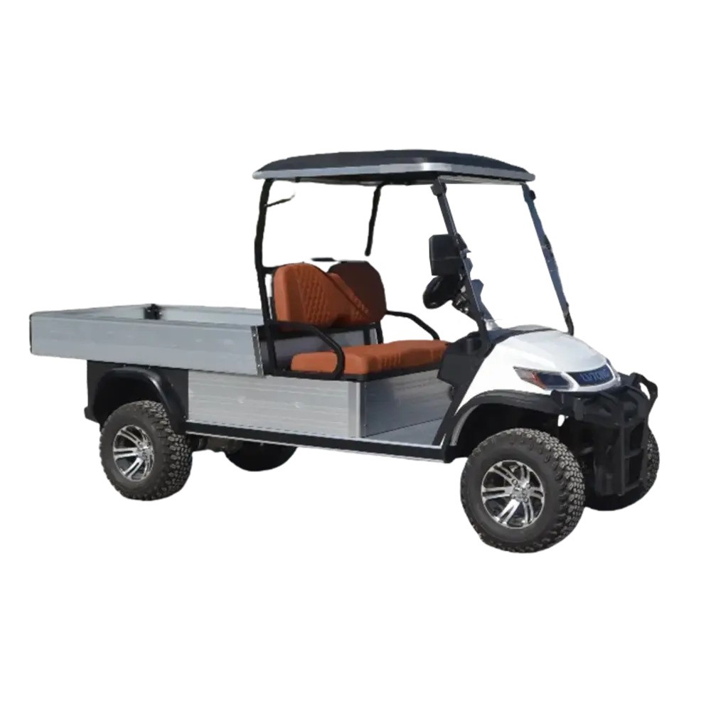 Двуместна електрическа товарна количка - (LT-A827.H8G) - Image 3