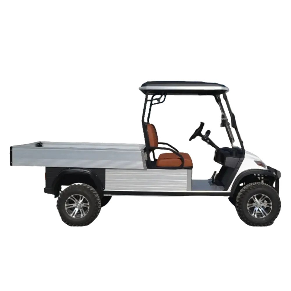 Двуместна електрическа товарна количка - (LT-A827.H8G) - Image 4